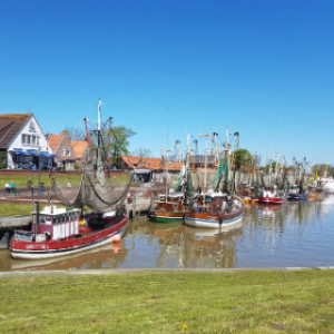 Greetsieler Hafen mit Krabbenkuttern in Ostfriesland
